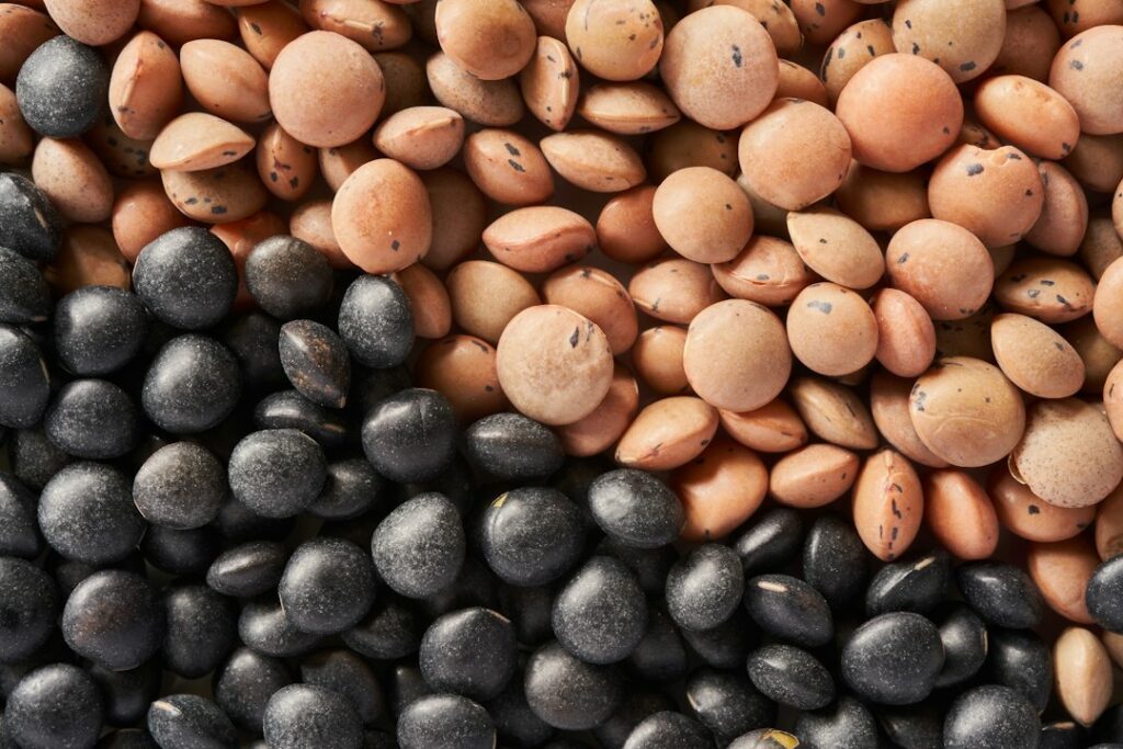 Red and black lentils side by side, for an article asking are lentils low FODMAP